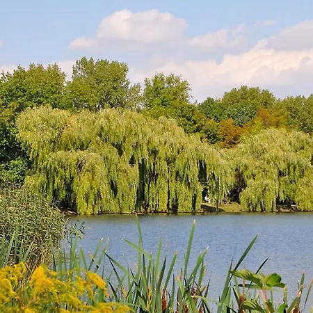 Pensión Am Park Merseburgo