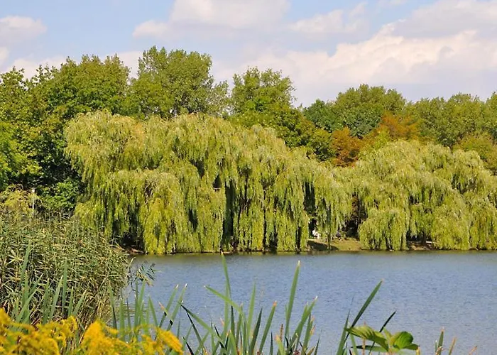 Pensión Am Park Merseburgo